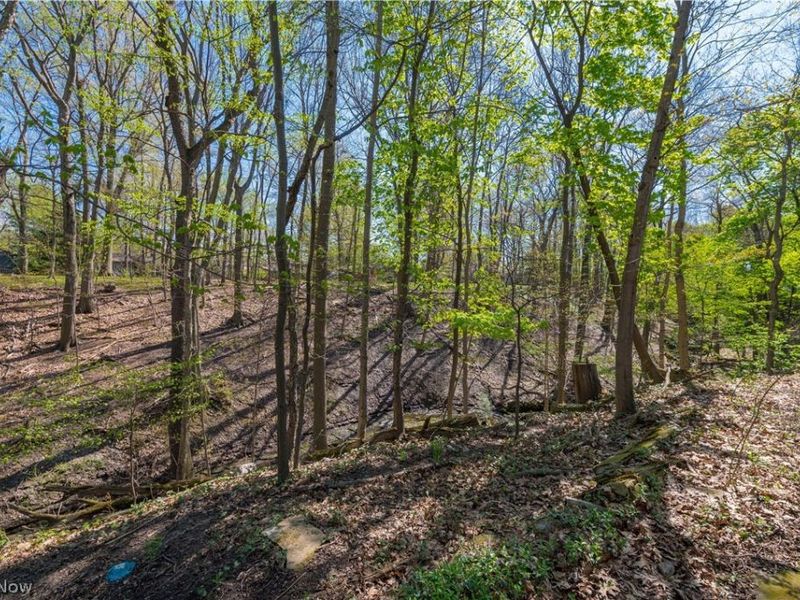 3675 Randolph Road, Cleveland Heights, OH 44121 Photo 47