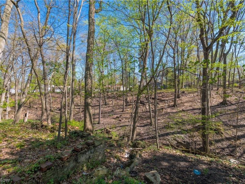 3675 Randolph Road, Cleveland Heights, OH 44121 Photo 48