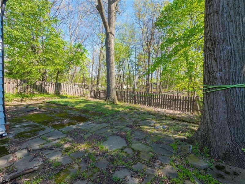 3675 Randolph Road, Cleveland Heights, OH 44121 Photo 49