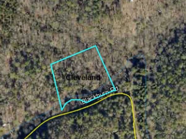 0 Blackburn Road, Cleveland, GA 30528