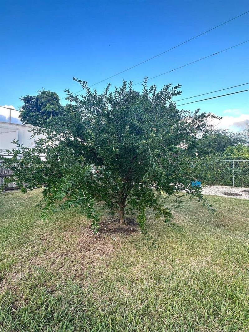 32151 SW 196th Ave , Homestead, FL 33030 Photo