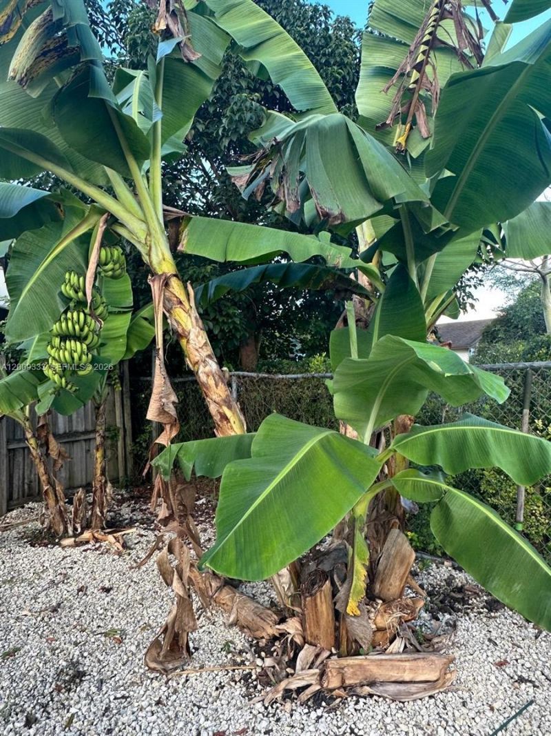 32151 SW 196th Ave , Homestead, FL 33030 Photo