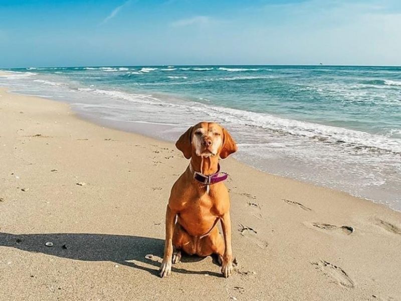 1801 S 23rd Street, Unit 3, Fort Pierce, FL 34950 Photo