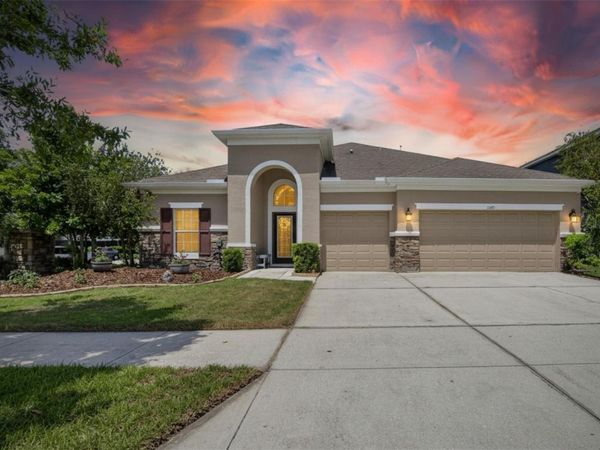 11321 SCRIBNER STATION LANE , LITHIA, FL 33547