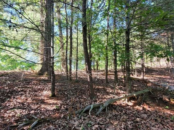 1.23 Acres Dogwood Lane , Spring City, TN 37381