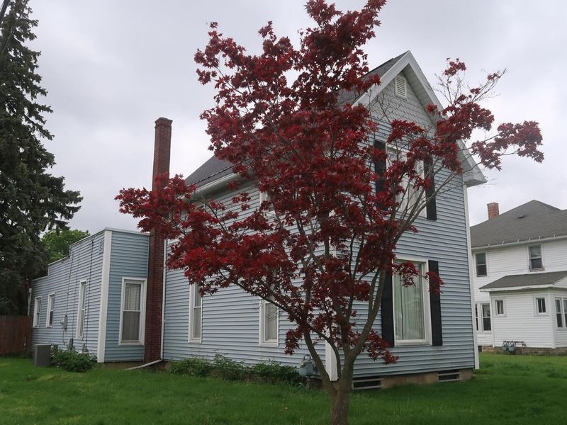 115 W Jackson Street , Fostoria, OH 44830 Photo 3