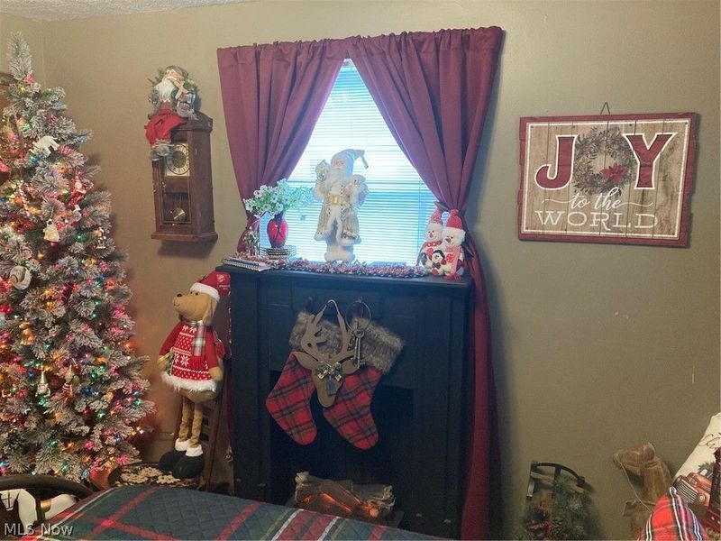 202 Ridgewood Boulevard, Minerva, OH 44657 Photo 19