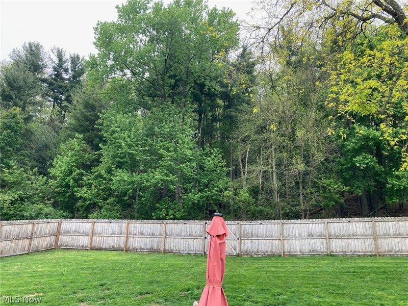 202 Ridgewood Boulevard, Minerva, OH 44657 Photo 33