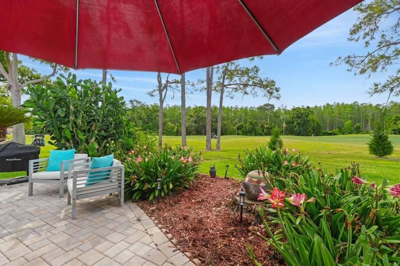 9726 Sweeping View Drive , New Port Richey, FL 34655 Photo