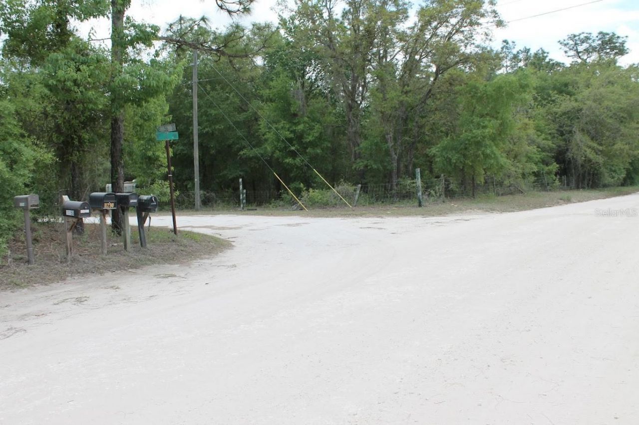 Ne 56th Street , Bronson, FL 32621 Photo