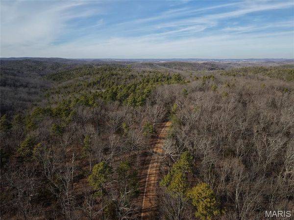 Tract 2 Bidwell Creek Road , Womack, MO 63645