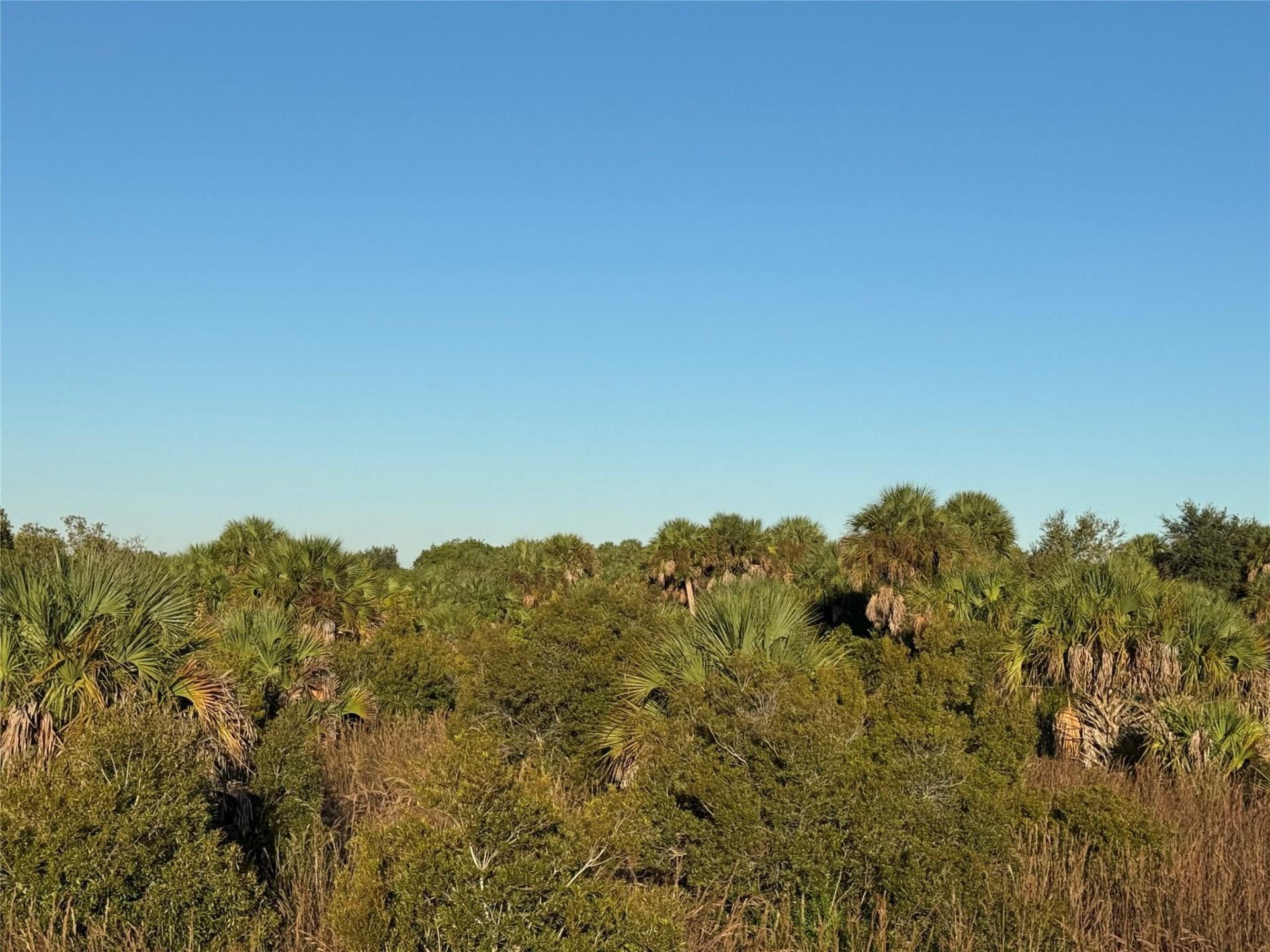 2025 Cabbage Lane, Okeechobee, FL 34974 Photo