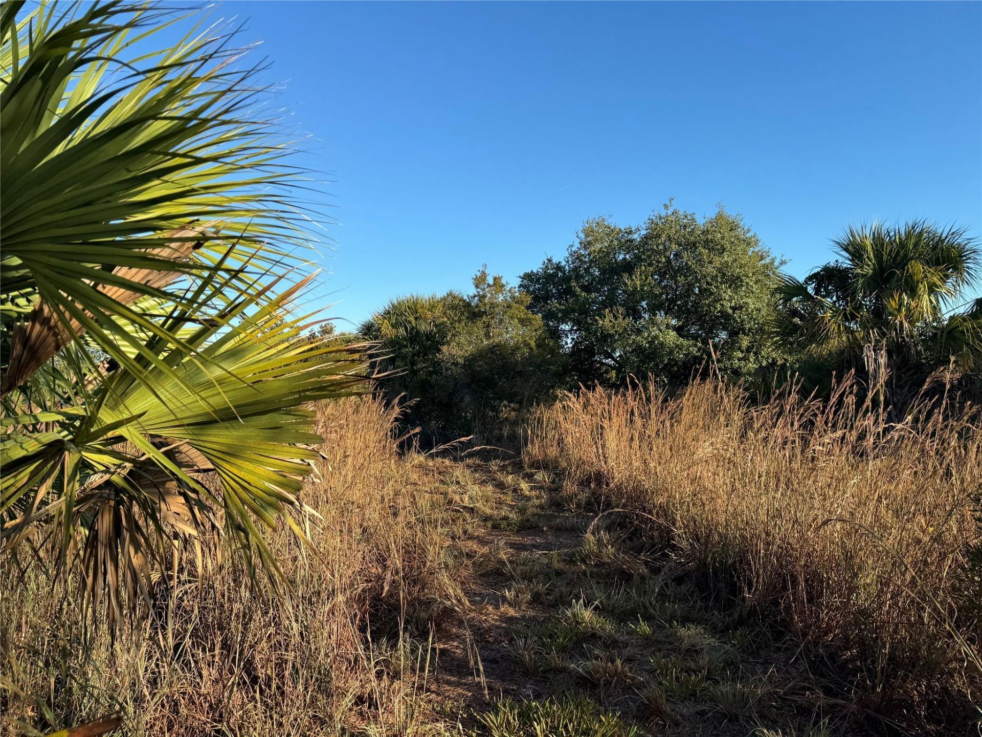 2025 Cabbage Lane, Okeechobee, FL 34974 Photo