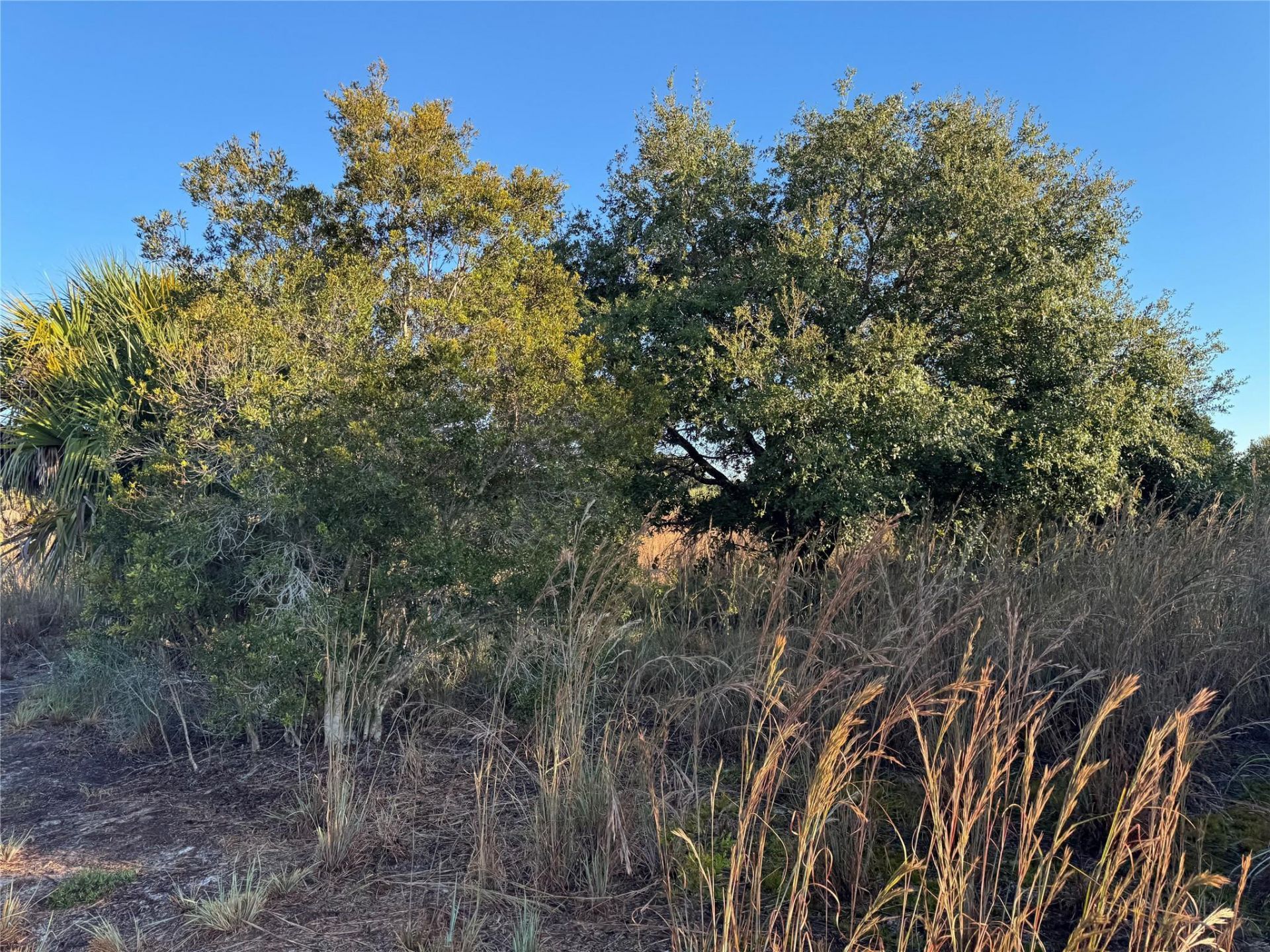 2025 Cabbage Lane, Okeechobee, FL 34974 Photo