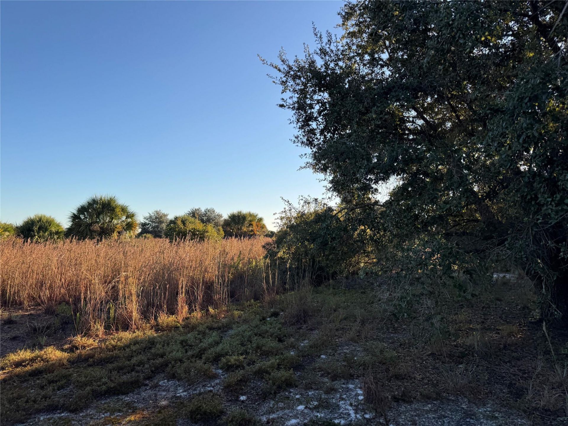 2025 Cabbage Lane, Okeechobee, FL 34974 Photo