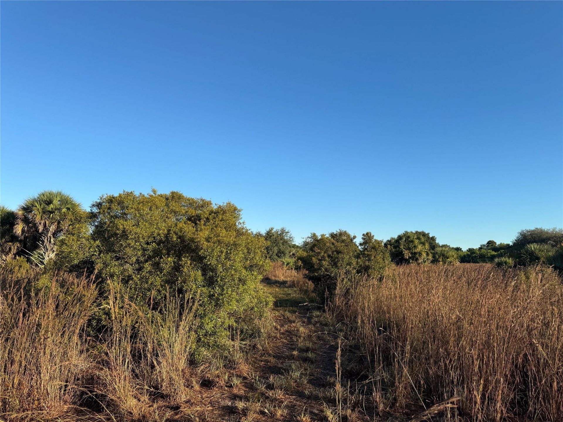 2025 Cabbage Lane, Okeechobee, FL 34974 Photo