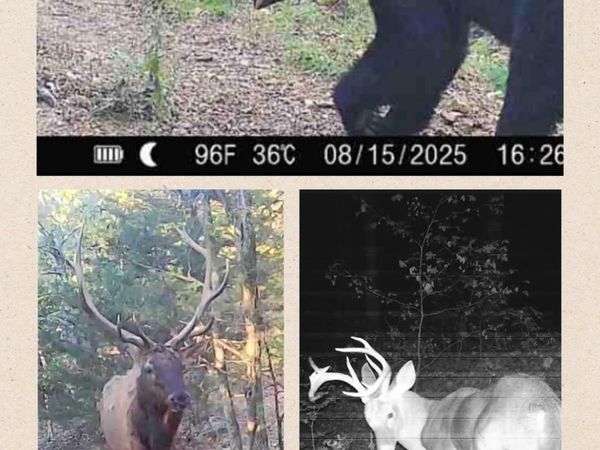 582 Marathon Lane , Saint Joe, AR 72675