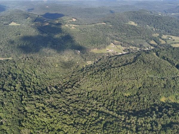 59 Acres +/- along Kunselman Road, Brookville, PA 15825