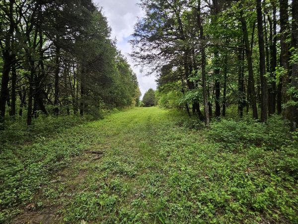 000 W Dade 2 , Jerico Springs, MO 64756