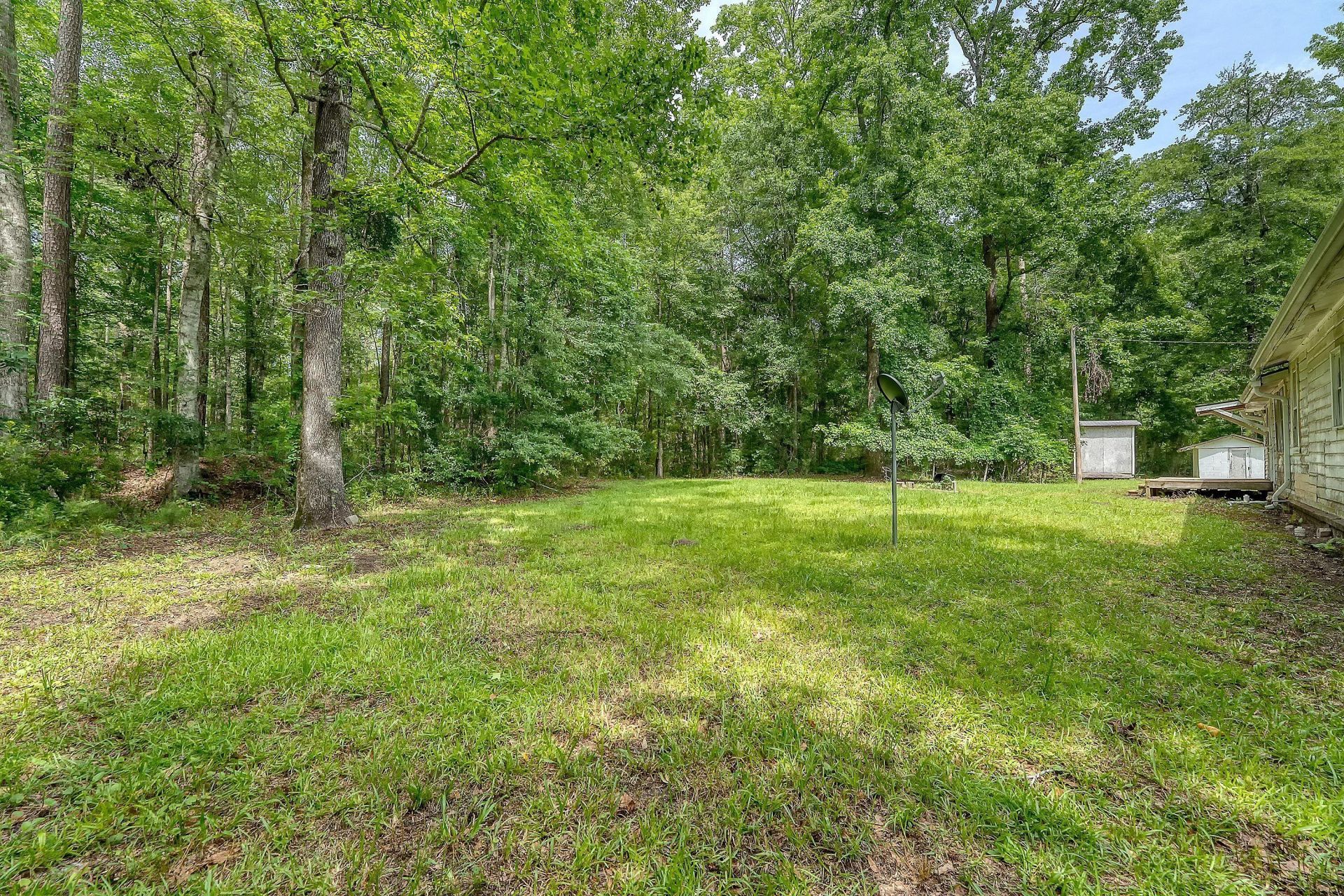 2202 Sc-61 Photo 20