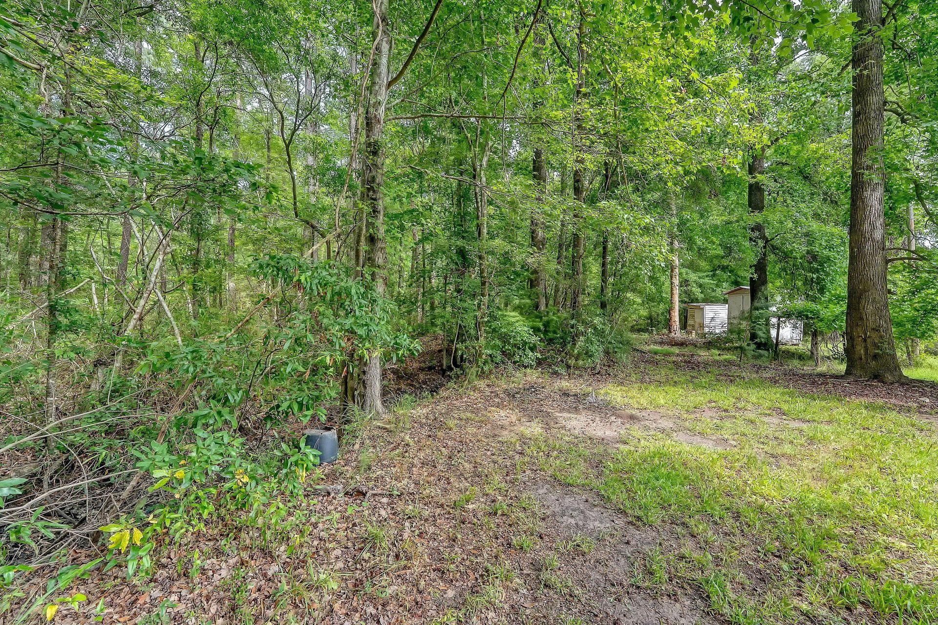 2202 Sc-61 Photo 21