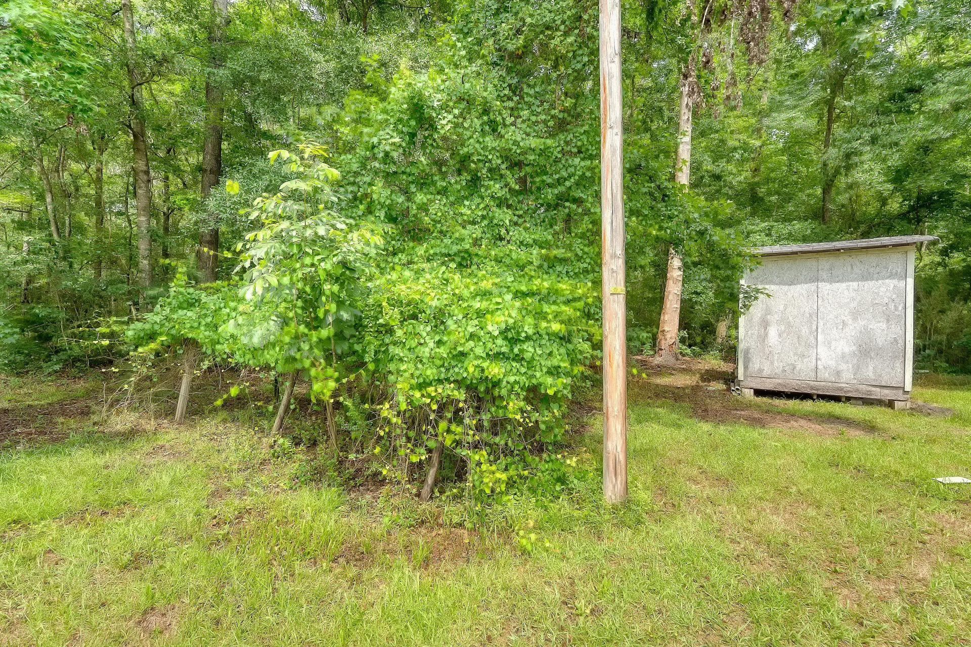 2202 Sc-61 Photo 23