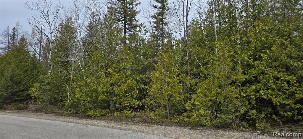 Vl Lot 332 Balsam Drive, Presque Isle Township, MI 49777 Main Photo