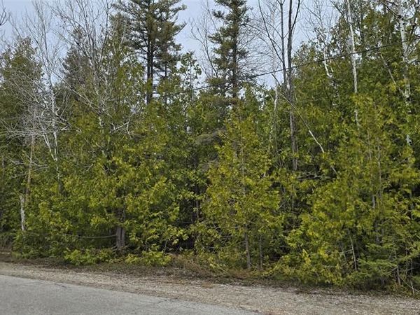 VL Lot 332 Balsam Drive , Presque Isle Twp, MI 49777