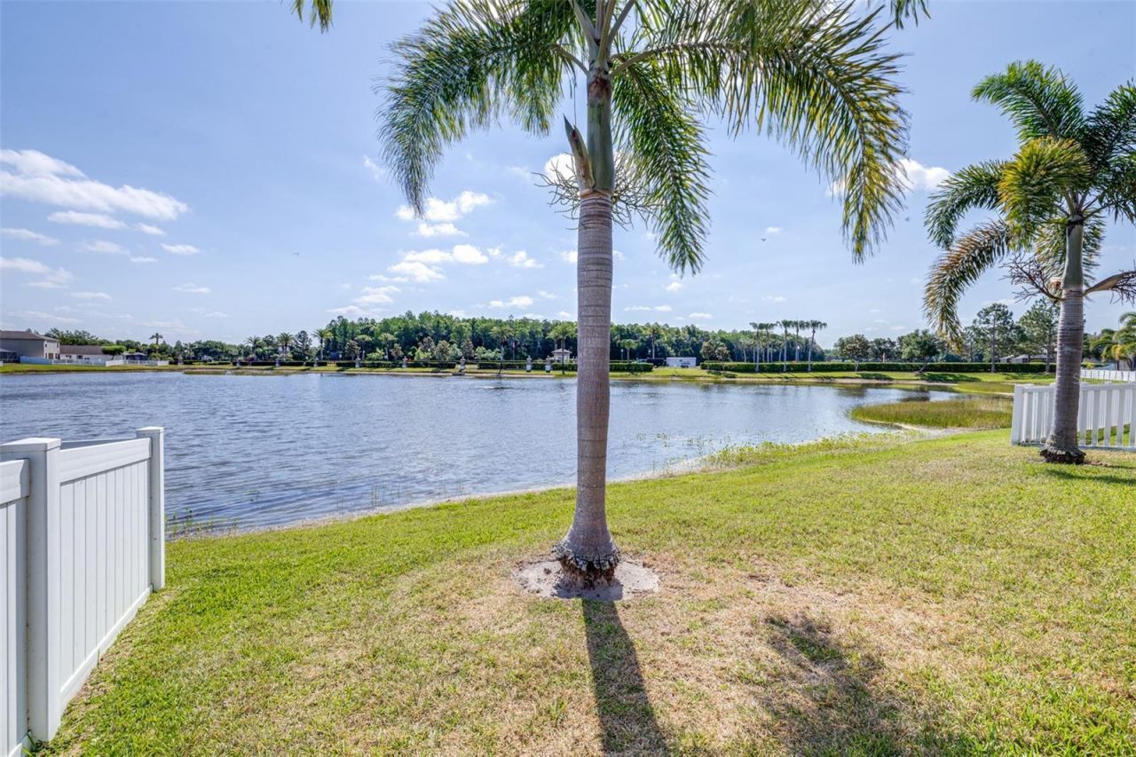 1762 Hadden Hall Place, Trinity, FL 34655 Photo
