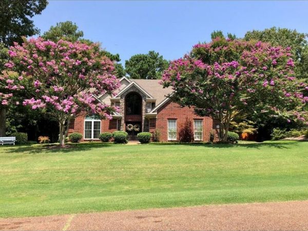 7684 N Rigmoore Point, Olive Branch, MS 38654