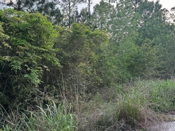 Lot 1386 N Pahihi DR, Bastrop, TX 78602