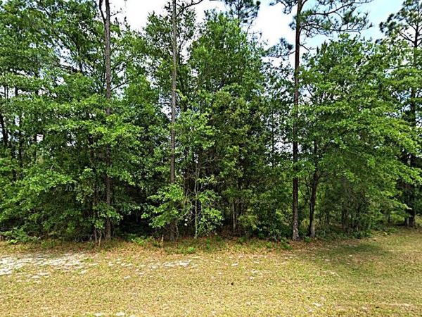 13321 SHORT Court, Bryceville, FL 32009