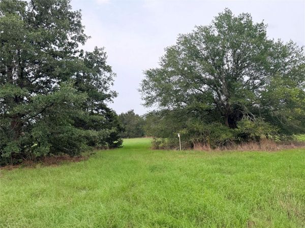 1766 Fm 2104, Paige, TX 78659