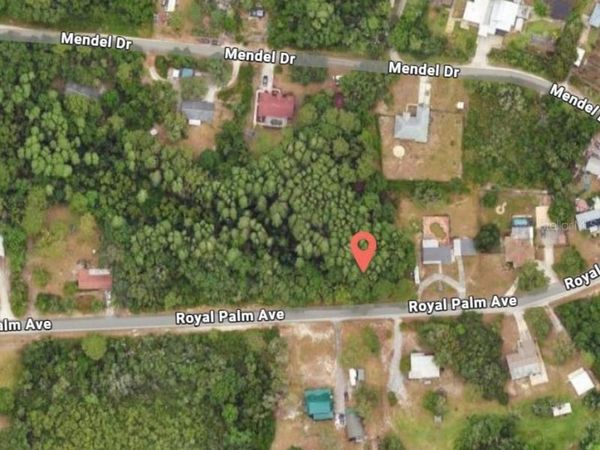 9805 ROYAL PALM AVENUE , NEW PORT RICHEY, FL 34654