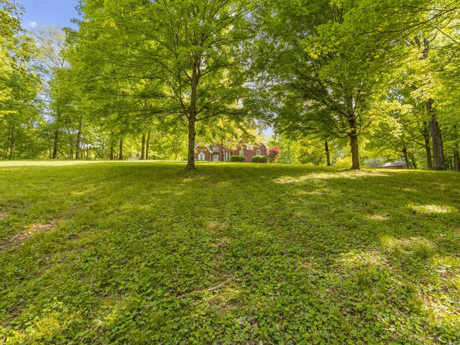 Property Image 89