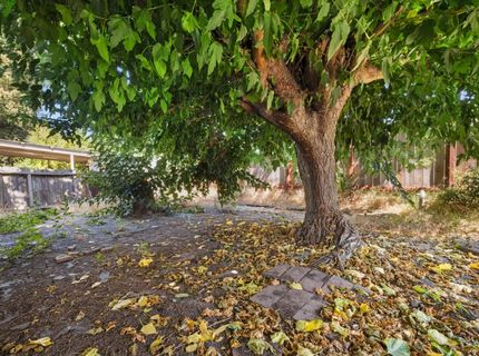 713 Pio Pica Ave, Stockton, CA 95210 Photo