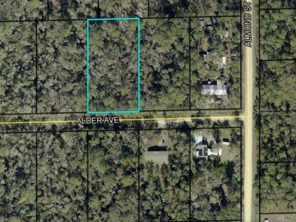 6296 ALDER AVENUE , BUNNELL, FL 32110