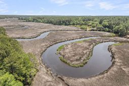 1150 Theodore Brunson Road photo 4