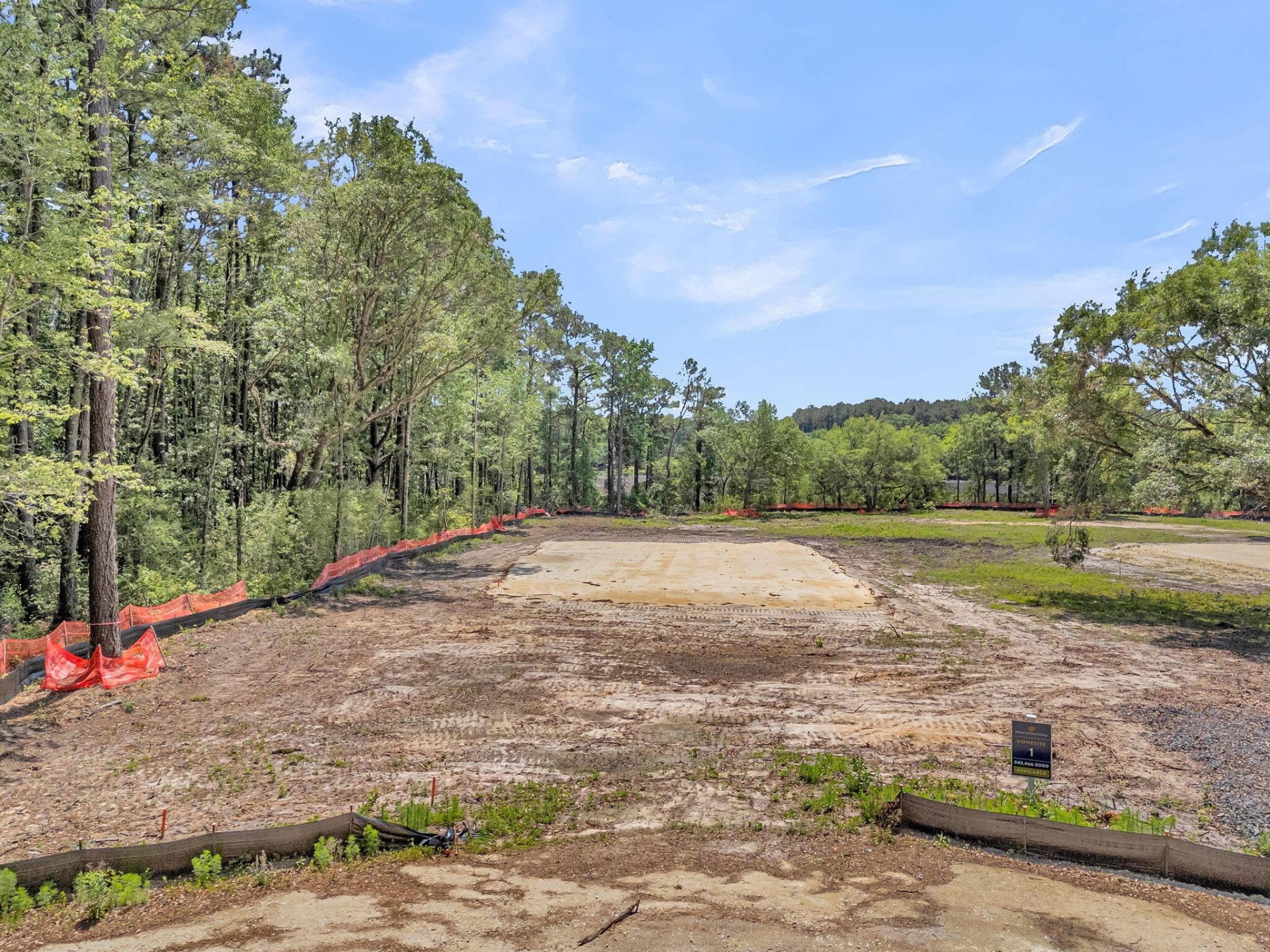 1150 Theodore Brunson Road Photo 4