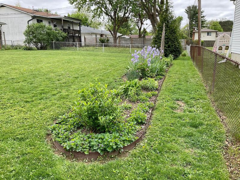 6389 Ambleside Drive, Columbus, OH 43229 Photo 33