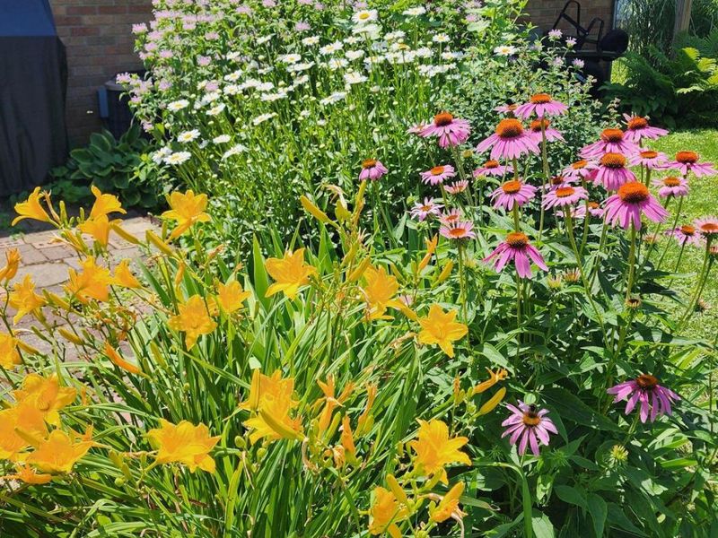 6389 Ambleside Drive, Columbus, OH 43229 Photo 7