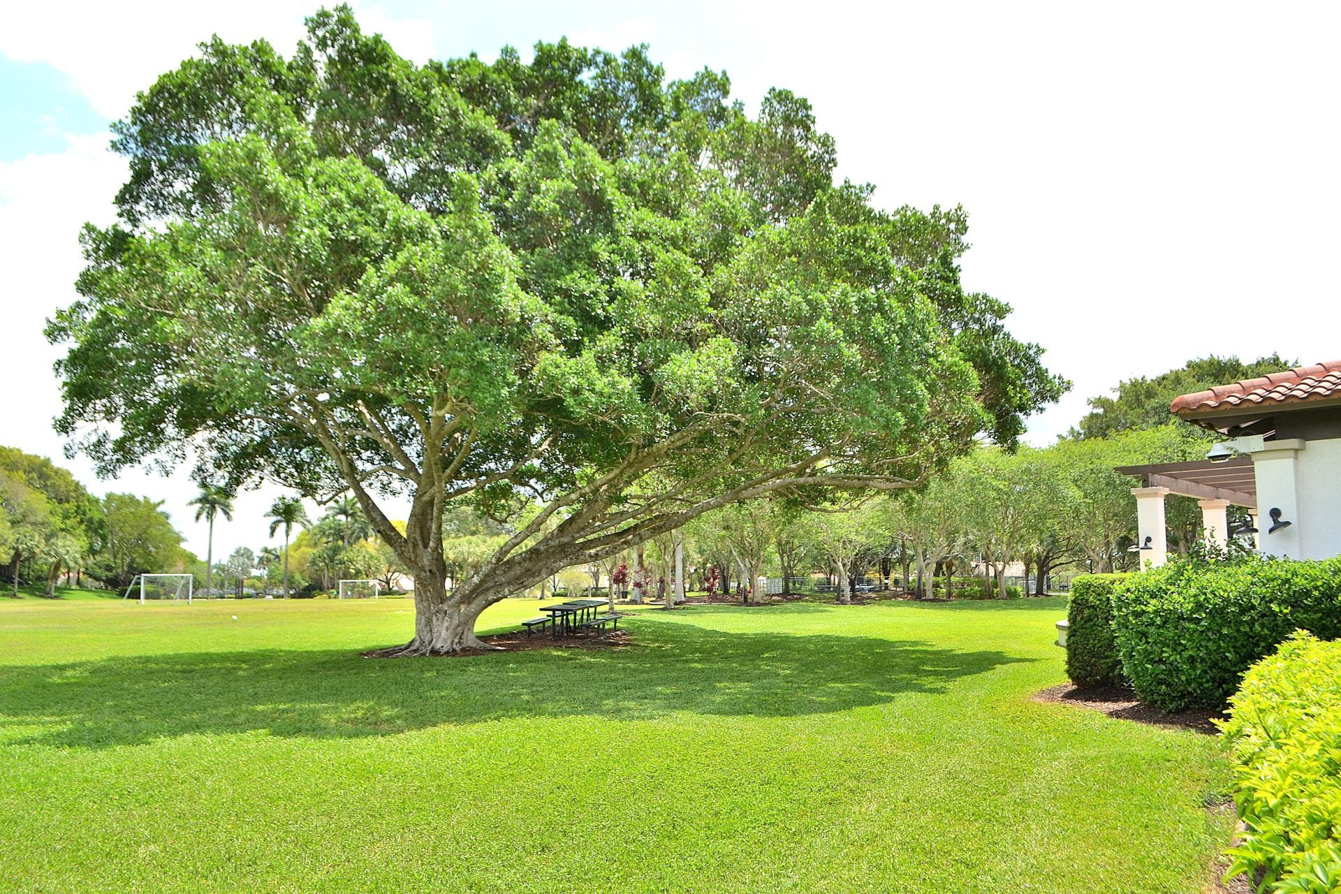 4361 Dogwood Circle, Weston, FL 33331 Photo