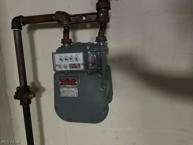 11116 Lardet Avenue, Cleveland, OH 44104 Photo 10