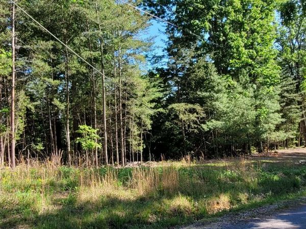 1.23 Acres Dogwood Court, Spring City, TN 37381