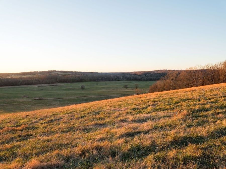 Property Image 24