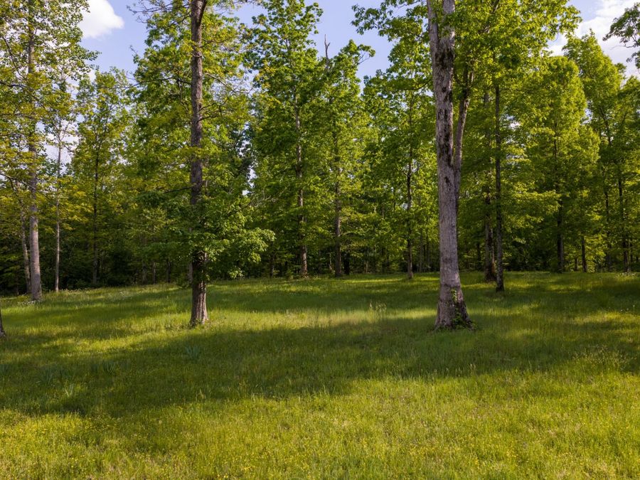 Property Image 97