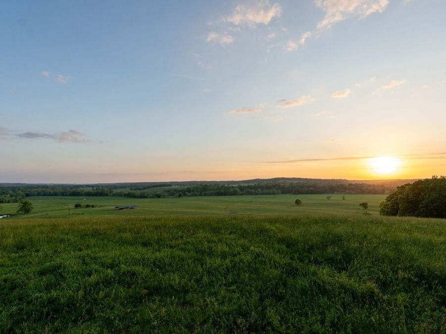 Property Image 98
