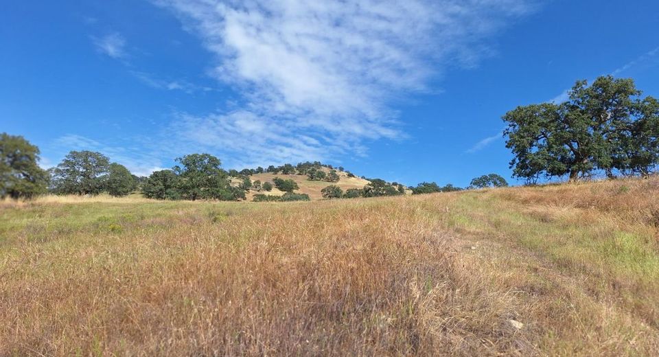 9375 Luna Ct, La Grange, CA 95329 Photo