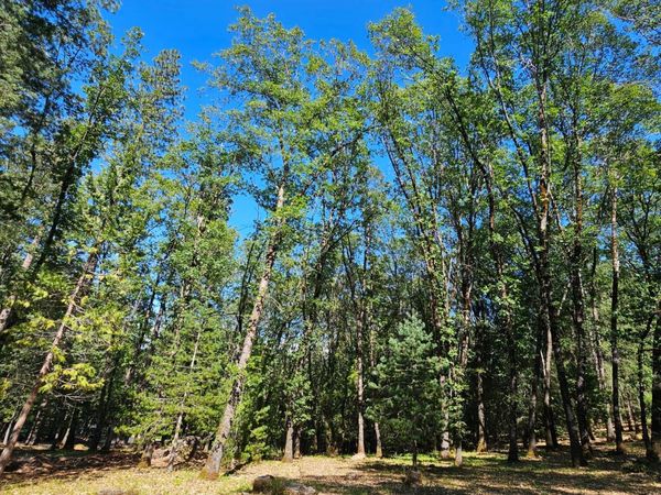 15367 Lakewood Ln, Grass Valley, CA 95945