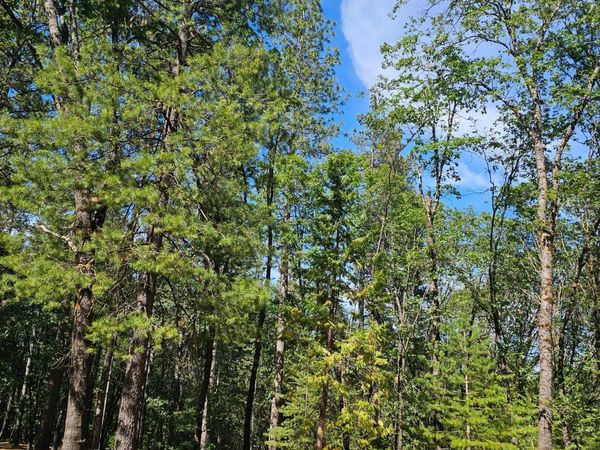 15367 Lakewood Ln, Grass Valley, CA 95945